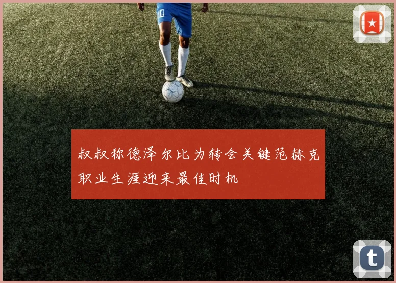 叔叔称德泽尔比为转会关键范赫克职业生涯迎来最佳时机