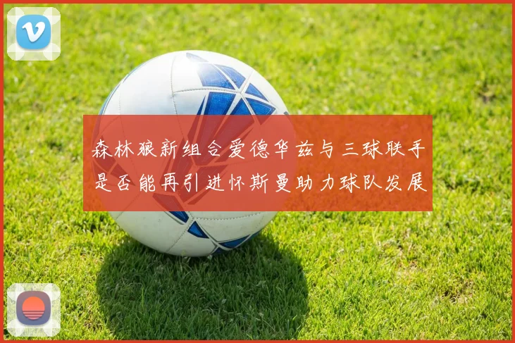森林狼新组合爱德华兹与三球联手是否能再引进怀斯曼助力球队发展